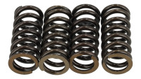 Ventilfedern Set Fasstek Racing