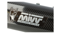 Slip-On Endschalld&auml;mpfer MIVV GP Pro Carbon