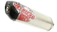 Slip- On Endschalld&auml;mpfer Radical Racing Inox