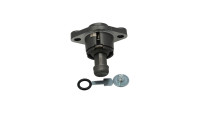 Steuerkettenspanner OEM Level