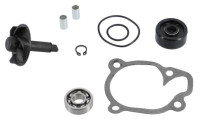 Wasserpumpen-Reparaturset